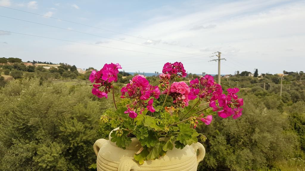 B&B Casale Siciliano Di Miryam Tiralongo 阿沃拉 外观 照片